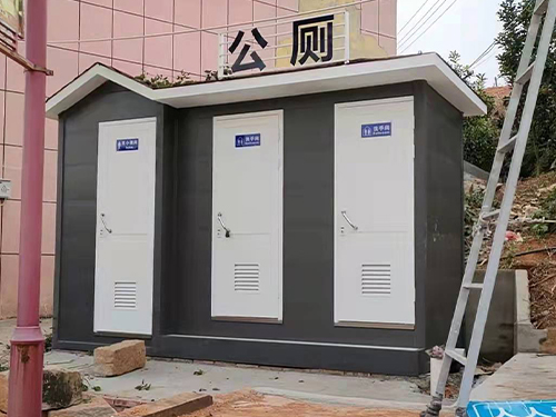 宁德市霞浦县茶岗村 2蹲位+1男小便间雕花移动公厕